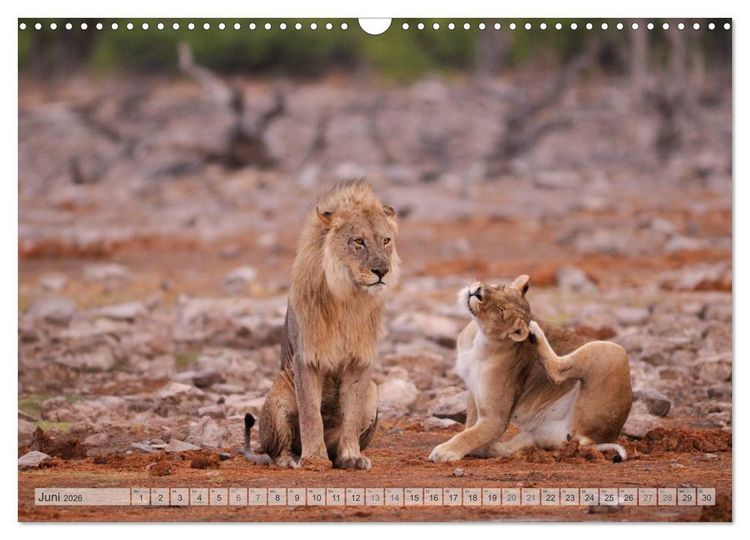 Produktbild: NAMIBIA Christian Heeb (Wandkalender 2026 DIN A3 quer), CALVENDO Monatskalender