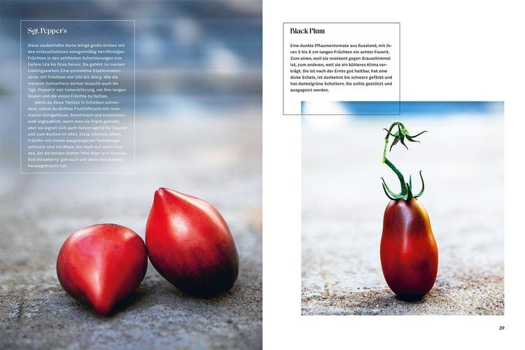 Produktbild: Verr&uuml;ckt nach Tomaten