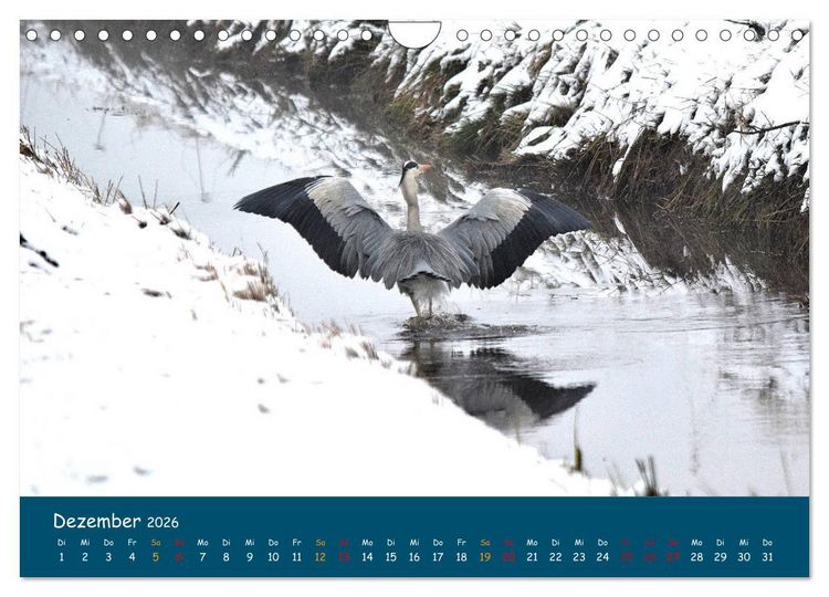 Produktbild: Naturschutzgebiet W&uuml;mme (Wandkalender 2026 DIN A4 quer), CALVENDO Monatskalender