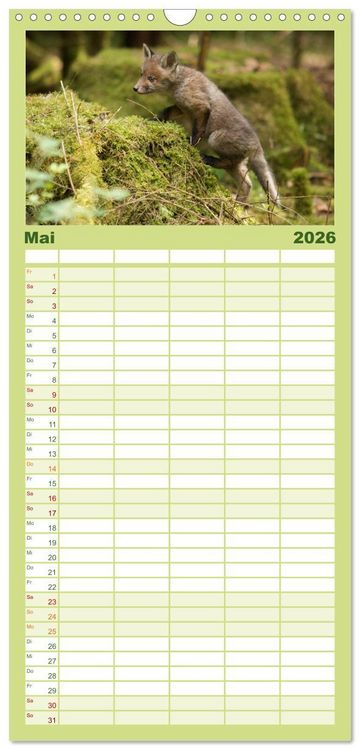 Produktbild: Familienplaner 2026 - Bei den Jungf&uuml;chsen mit 5 Spalten (Wandkalender, 21 x 45 cm) CALVENDO