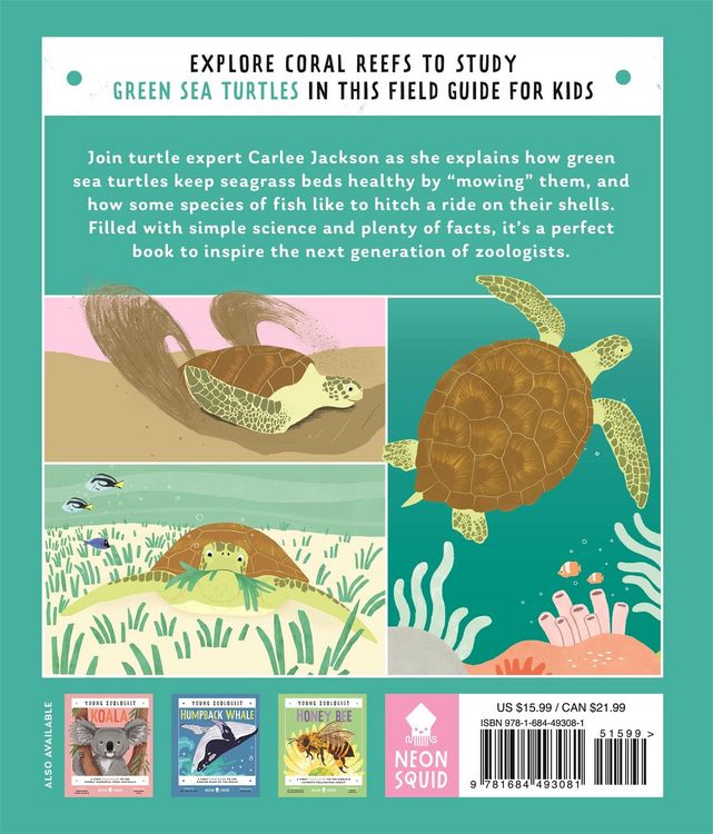 Produktbild: Green Sea Turtle (Young Zoologist)