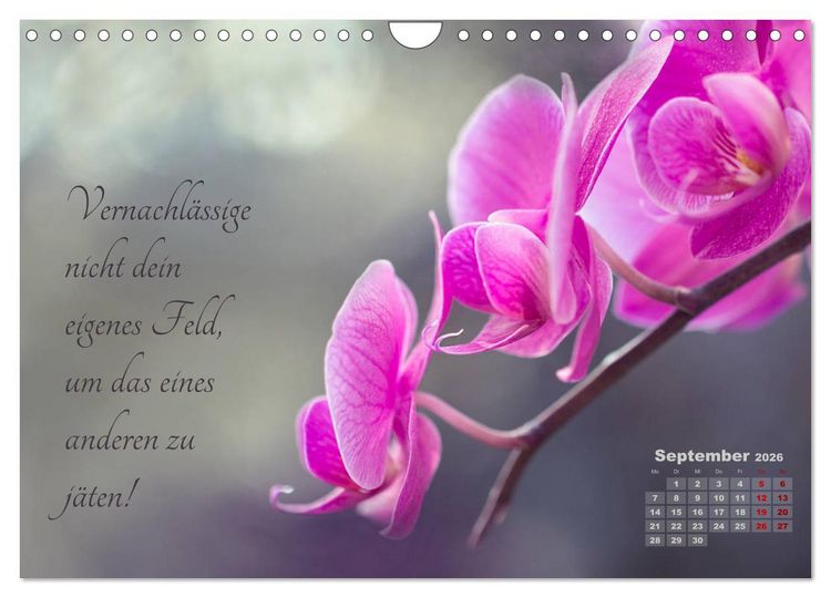 Produktbild: Chinesische Weisheiten (Wandkalender 2026 DIN A4 quer), CALVENDO Monatskalender