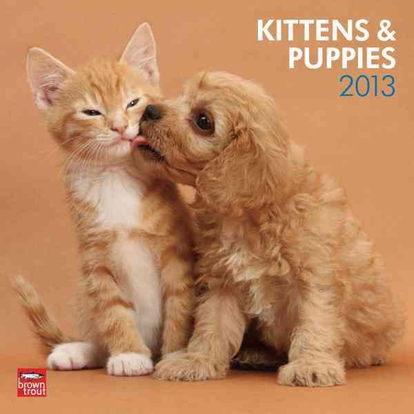 Produktbild: Kittens & Puppies 2013