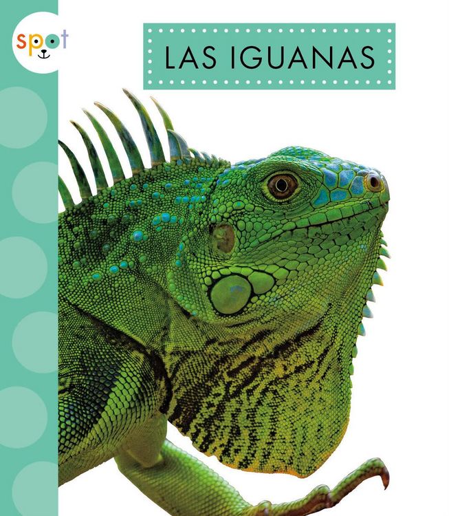 Produktbild: Las Iguanas