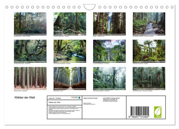 Produktbild: W&auml;lder der Welt (Wandkalender 2026 DIN A4 quer), CALVENDO Monatskalender
