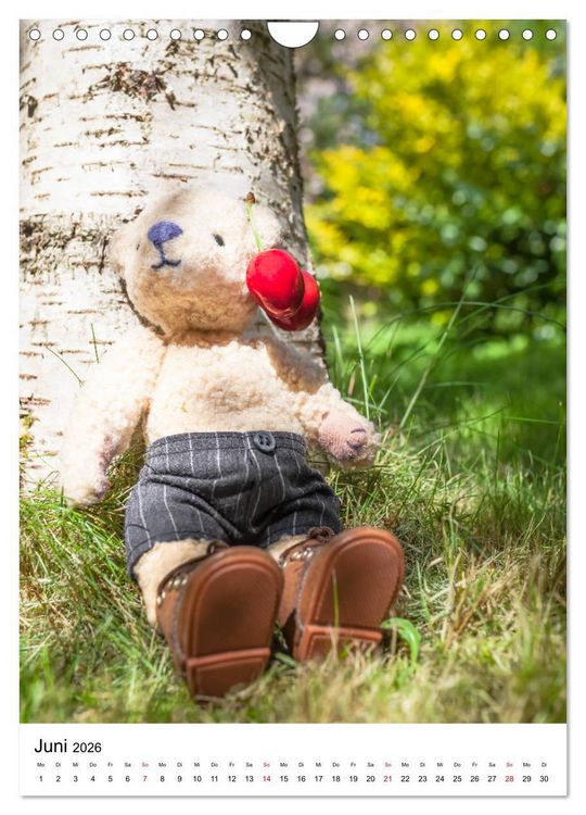 Produktbild: Teddyb&auml;ren Abenteuer - Zu Hause und Unterwegs (Wandkalender 2026 DIN A4 hoch), CALVENDO Monatskalender