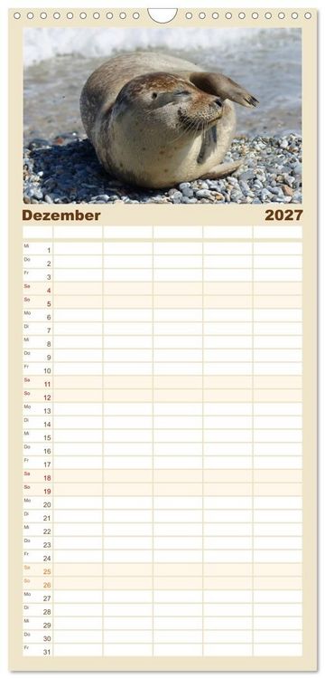 Produktbild: Familienplaner 2027 - Das Leben der Robben mit 5 Spalten (Wandkalender, 21 x 45 cm) CALVENDO