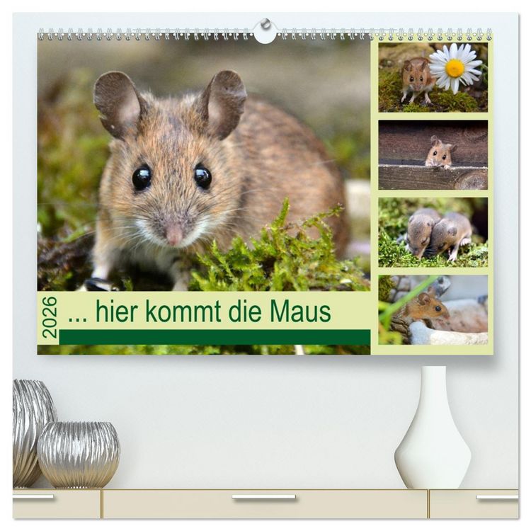 Produktbild: ... hier kommt die Maus ... (hochwertiger Premium Wandkalender 2026 DIN A2 quer), Kunstdruck in Hochglanz