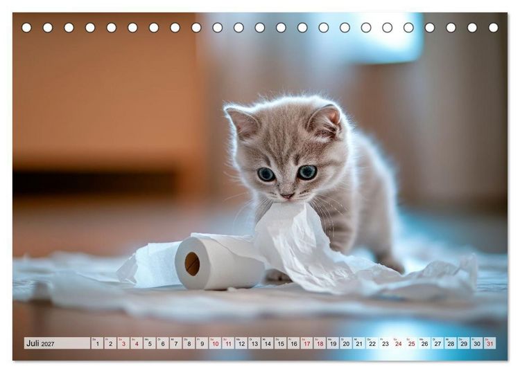 Produktbild: Kleine K&auml;tzchen - Ein Jahr voller Samtpfotenzauber (Tischkalender 2027 DIN A5 quer), CALVENDO Monatskalender