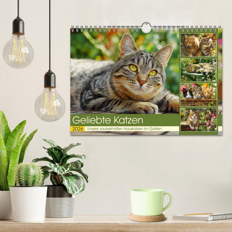 Produktbild: Geliebte Katzen. Unsere zauberhaften Hauskatzen im Garten (Wandkalender 2026 DIN A4 quer), CALVENDO Monatskalender