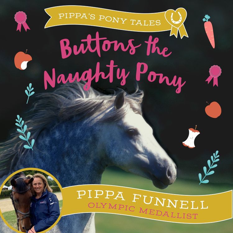 Produktbild: Buttons the Naughty Pony