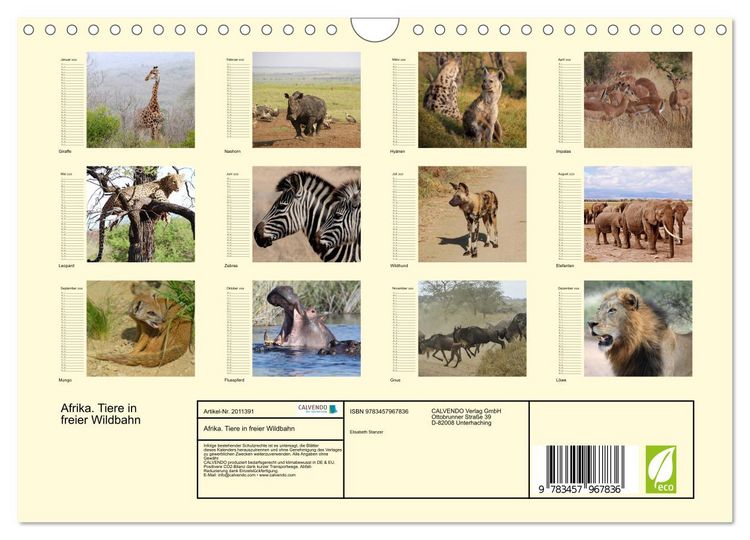 Produktbild: Afrika. Tiere in freier Wildbahn (Wandkalender 2026 DIN A4 quer), CALVENDO Monatskalender