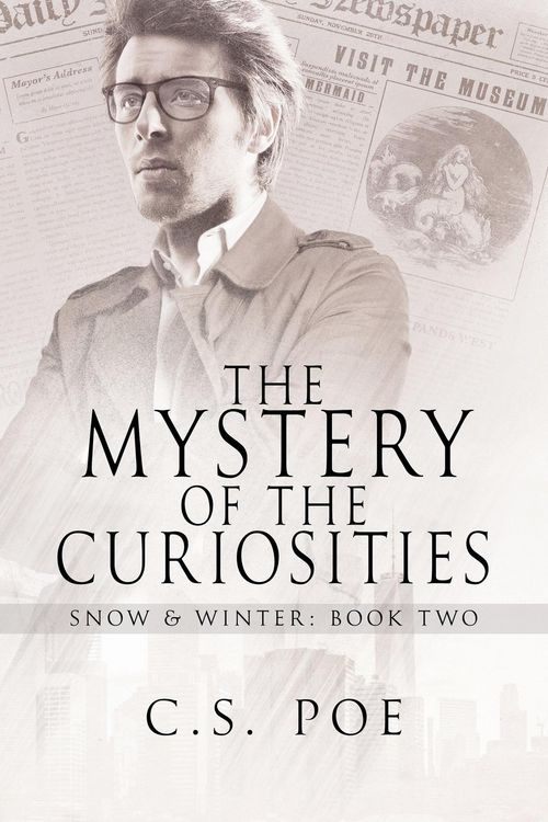 Produktbild: The Mystery of the Curiosities
