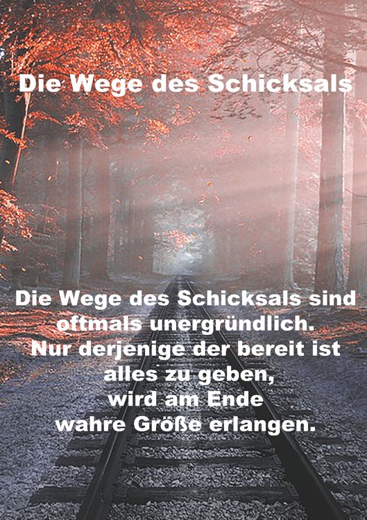 Produktbild: Wege des Schicksals