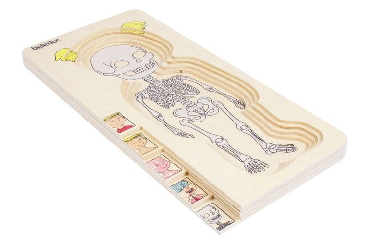 Produktbild: Lagen-Puzzle "Dein K&ouml;rper" M&auml;dchen / 29 Teile