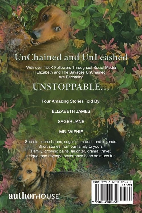 Produktbild: Novelettes from Elizabeth and the Savages Unchained
