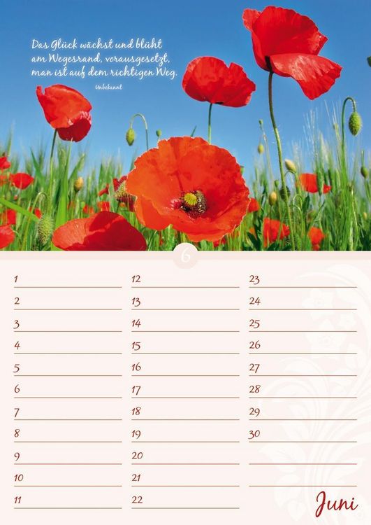 Produktbild: Geburtstagskalender Bl&uuml;tenpracht - immerw&auml;hrend - (21 x 30)