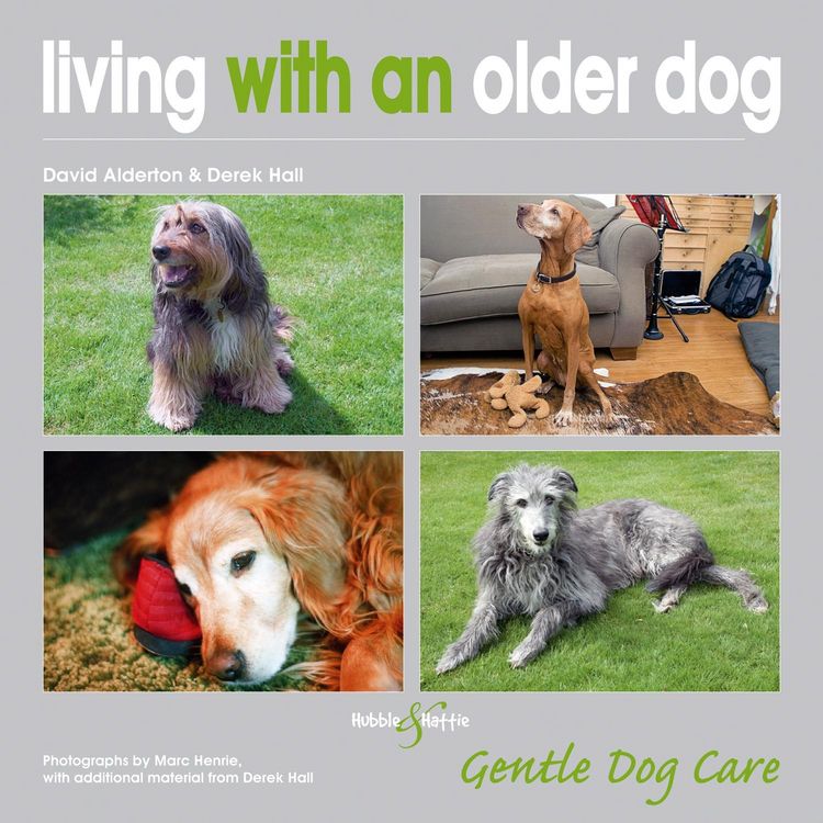 Produktbild: Living with an Older Dog
