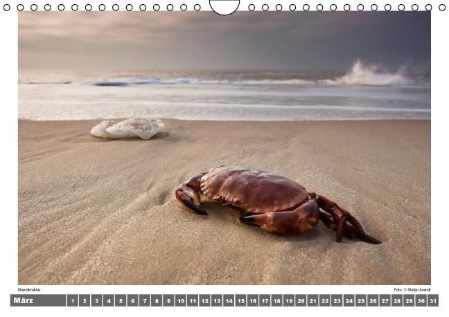 Produktbild: Nordsee - Impressionen einer Landschaft am Meer (Wandkalender immerw&auml;hrend DIN A4 quer)