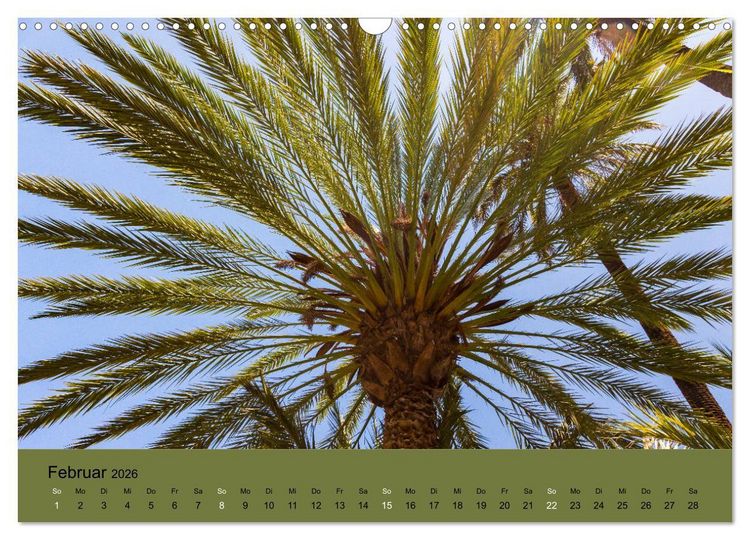 Produktbild: Abenteuer Marokko - eine Reise durch die Region Sous-Massa (Wandkalender 2026 DIN A3 quer), CALVENDO Monatskalender