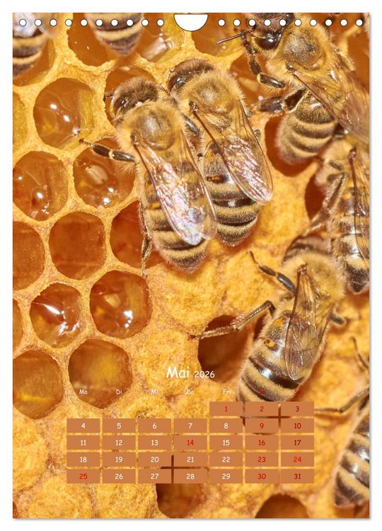 Produktbild: Gesch&auml;ftig wie im Bienenstock (Wandkalender 2026 DIN A4 hoch), CALVENDO Monatskalender