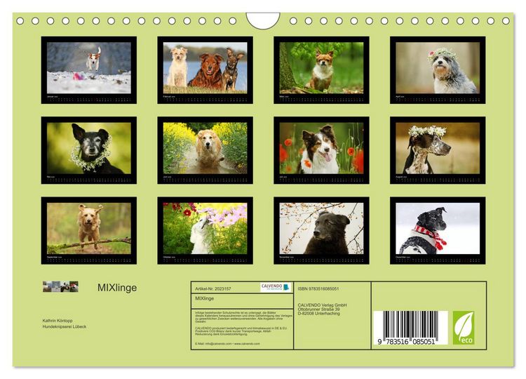 Produktbild: MIXlinge (Wandkalender 2026 DIN A4 quer), CALVENDO Monatskalender