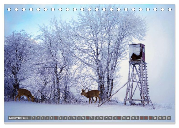 Produktbild: Zauberhafte Schwalm (Tischkalender 2026 DIN A5 quer), CALVENDO Monatskalender