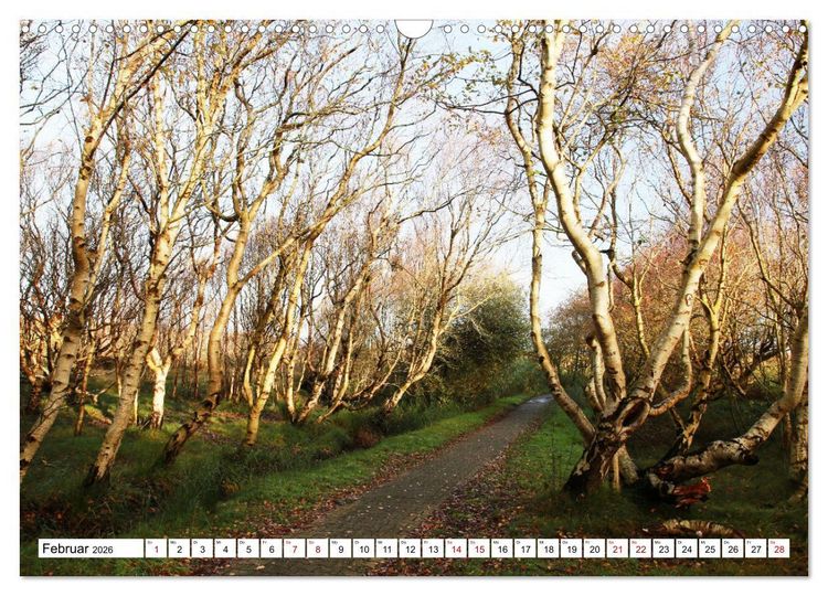 Produktbild: Insel Baltrum, Perle im Ostfriesischen Wattenmeer (Wandkalender 2026 DIN A3 quer), CALVENDO Monatskalender