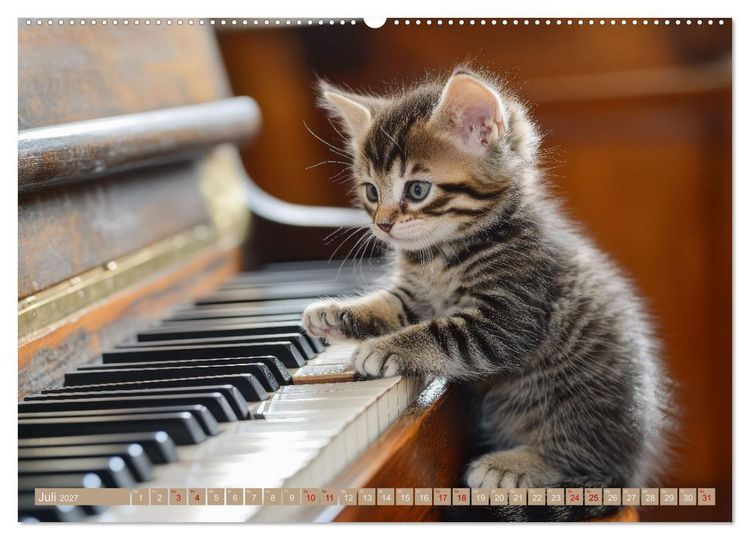 Produktbild: Miau-sikalische Momente (hochwertiger Premium Wandkalender 2027 DIN A2 quer), Kunstdruck in Hochglanz