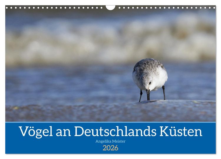 Produktbild: V&ouml;gel an Deutschlands K&uuml;sten (Wandkalender 2026 DIN A3 quer), CALVENDO Monatskalender
