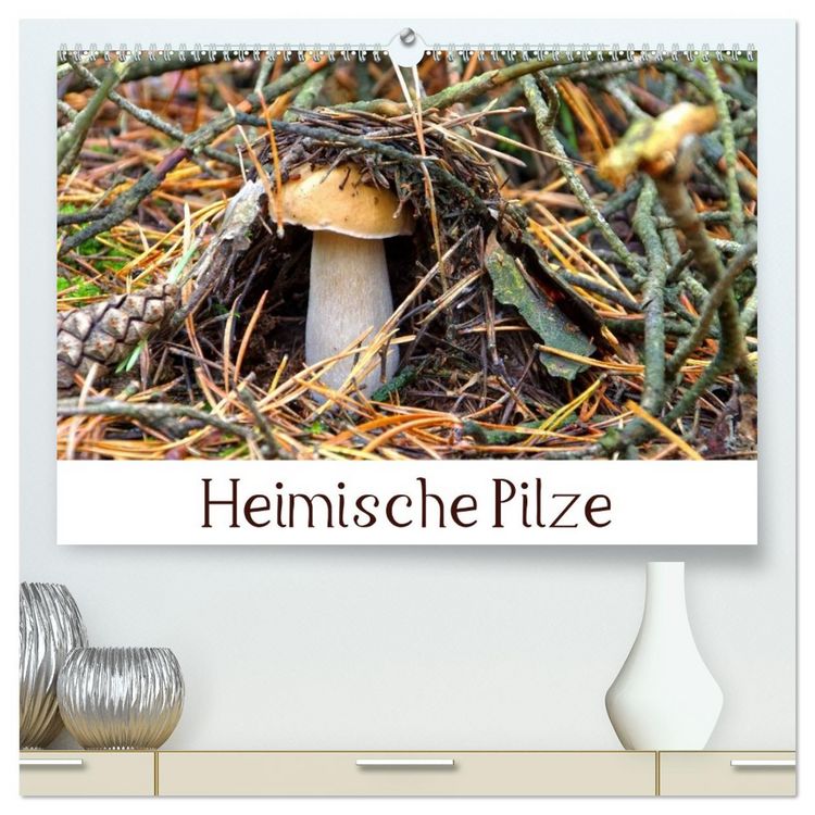 Produktbild: Heimische Pilze (hochwertiger Premium Wandkalender 2026 DIN A2 quer), Kunstdruck in Hochglanz
