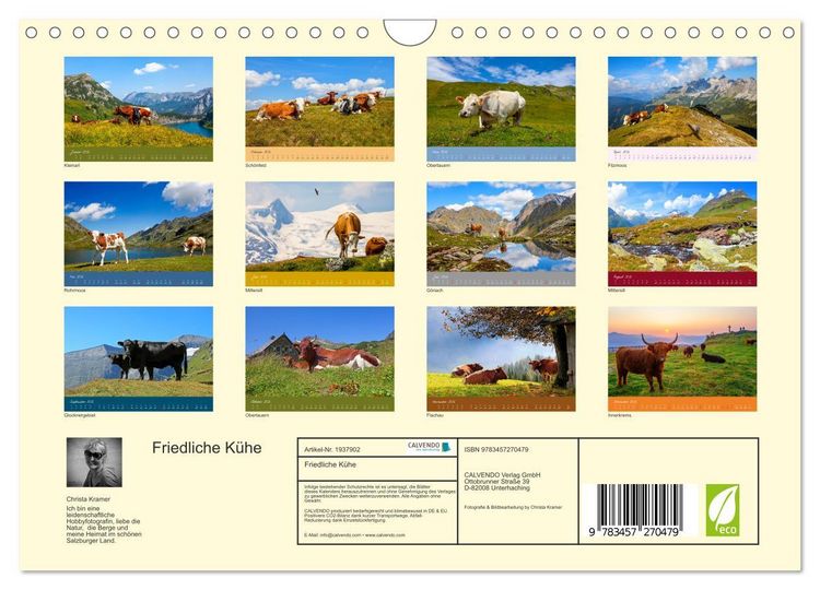 Produktbild: Friedliche K&uuml;he (Wandkalender 2026 DIN A4 quer), CALVENDO Monatskalender
