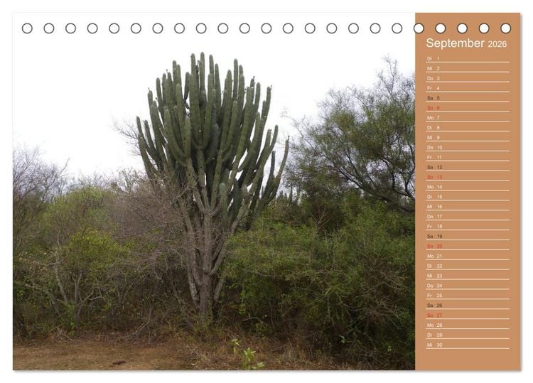 Produktbild: Bilder aus dem Chaco in Paraguay (Tischkalender 2026 DIN A5 quer), CALVENDO Monatskalender