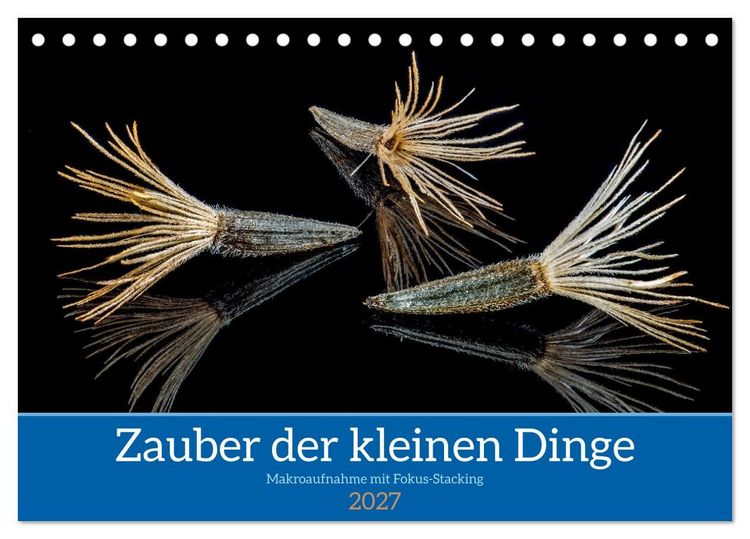 Produktbild: Zauber der kleinen Dinge (Tischkalender 2027 DIN A5 quer), CALVENDO Monatskalender