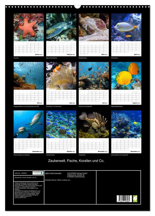 Produktbild: Zauberwelt. Fische, Korallen und Co. (Wandkalender 2026 DIN A2 hoch), CALVENDO Monatskalender