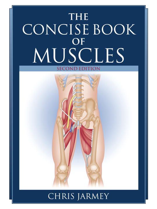 Produktbild: Unknown: Concise Book Of Muscles