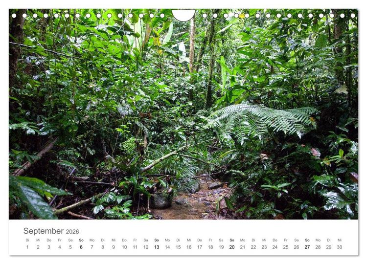 Produktbild: Ecuador - Regenwald und Vulkane (Wandkalender 2026 DIN A4 quer), CALVENDO Monatskalender