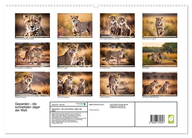 Produktbild: Geparden - die schnellsten J&auml;ger der Welt (hochwertiger Premium Wandkalender 2026 DIN A2 quer), Kunstdruck in Hochglanz
