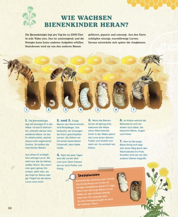 Produktbild: Bienen
