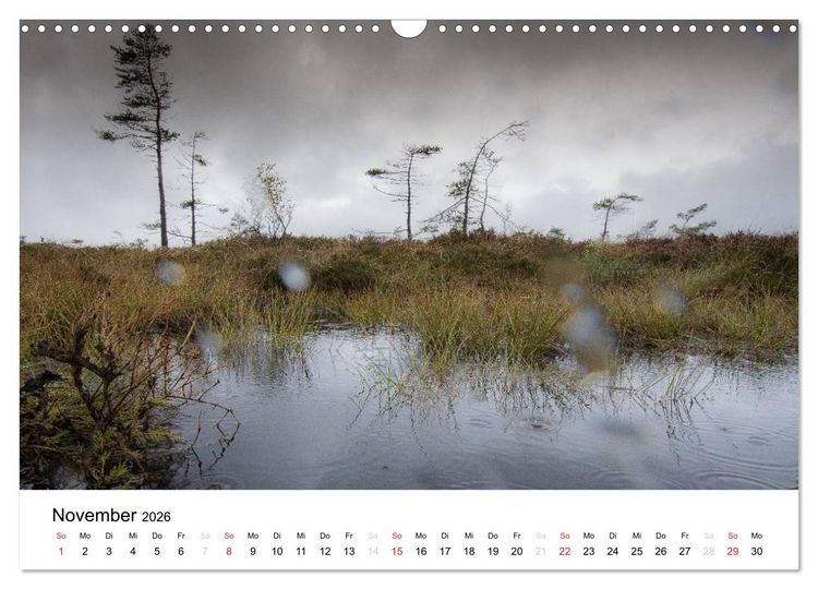 Produktbild: Naturerlebnis im Biosph&auml;renreservat Rh&ouml;n (Wandkalender 2026 DIN A3 quer), CALVENDO Monatskalender