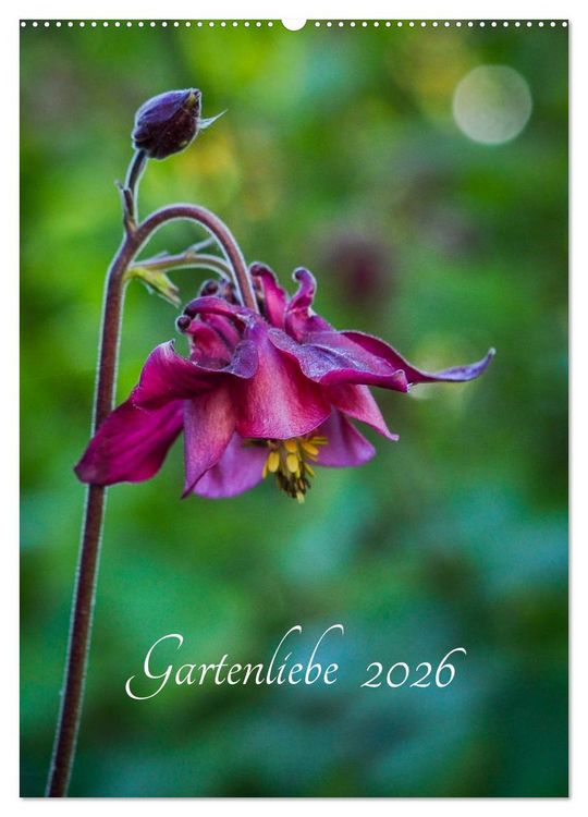 Produktbild: Gartenliebe (Wandkalender 2026 DIN A2 hoch), CALVENDO Monatskalender