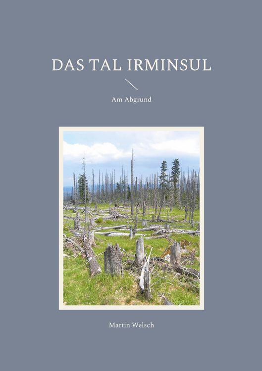 Produktbild: Das Tal Irminsul