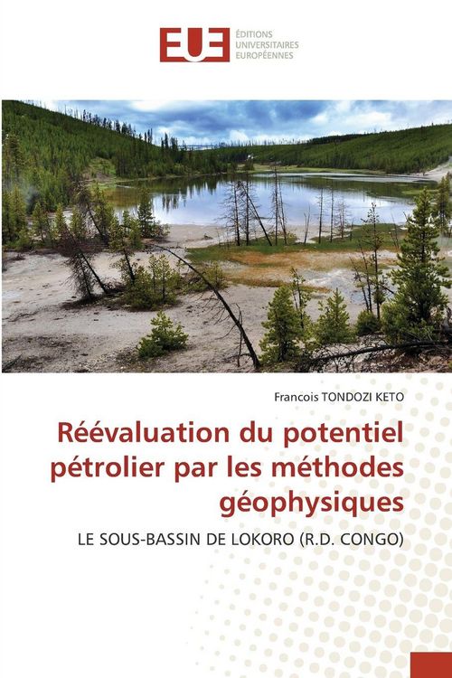 Produktbild: R&eacute;&eacute;valuation du potentiel p&eacute;trolier par les m&eacute;thodes g&eacute;ophysiques