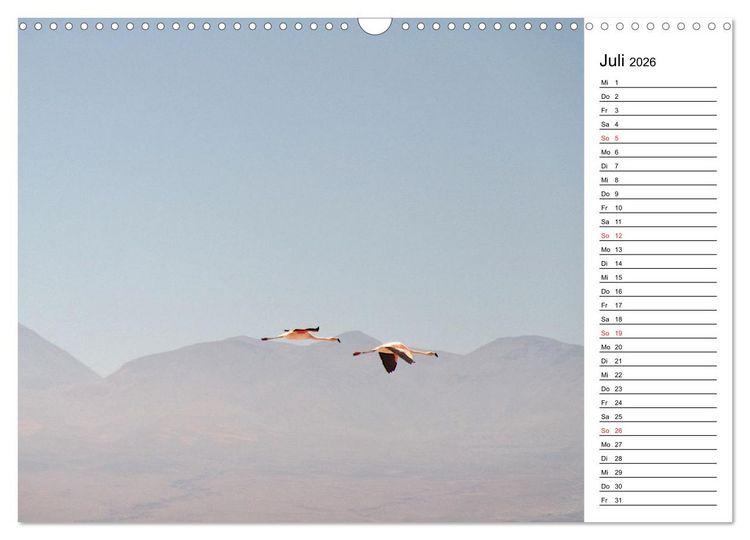 Produktbild: Mein Flamingo Planer (Wandkalender 2026 DIN A3 quer), CALVENDO Monatskalender