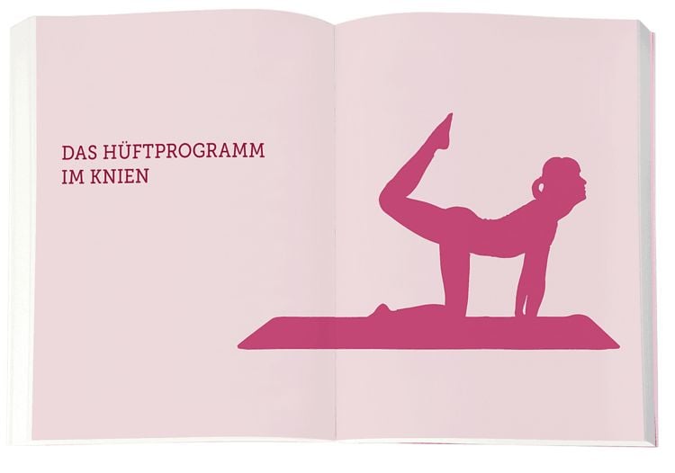 Produktbild: Das H&uuml;ftHeilbuch