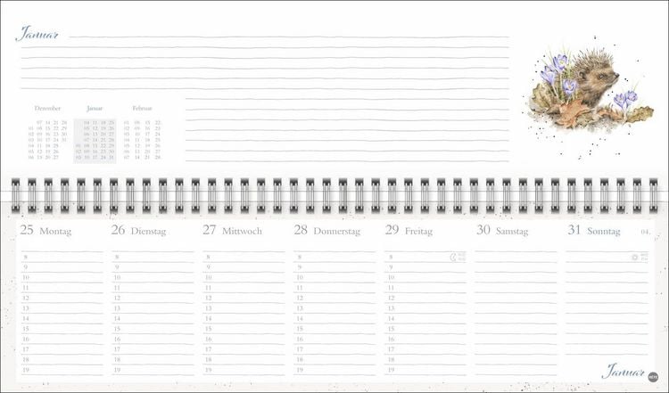 Produktbild: Hannah Dale : Wochenquerplaner 2027