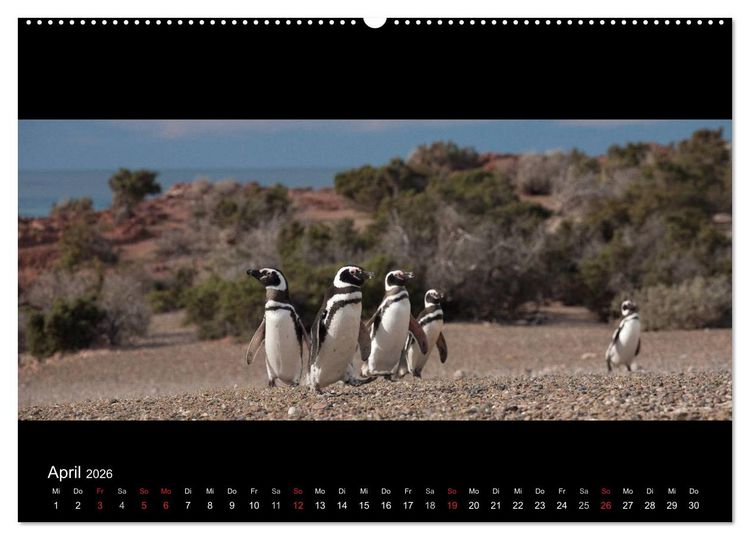 Produktbild: Patagonien - Ungez&auml;hmtes Land (Wandkalender 2026 DIN A2 quer), CALVENDO Monatskalender