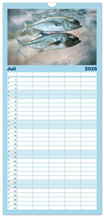 Produktbild: Familienplaner 2026 - Fischwelt - Artwork mit 5 Spalten (Wandkalender, 21 x 45 cm) CALVENDO