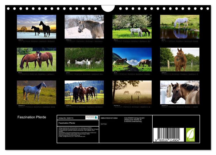 Produktbild: Faszination Pferde (Wandkalender 2026 DIN A4 quer), CALVENDO Monatskalender