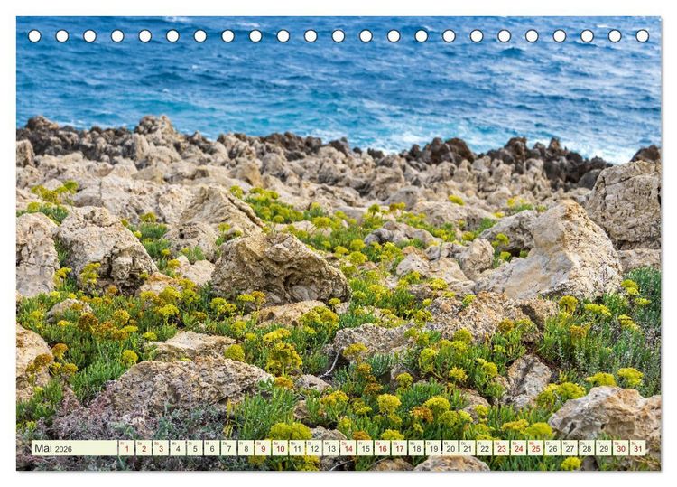 Produktbild: Mediterrane Flora - Pflanzen des S&uuml;dens (Tischkalender 2026 DIN A5 quer), CALVENDO Monatskalender